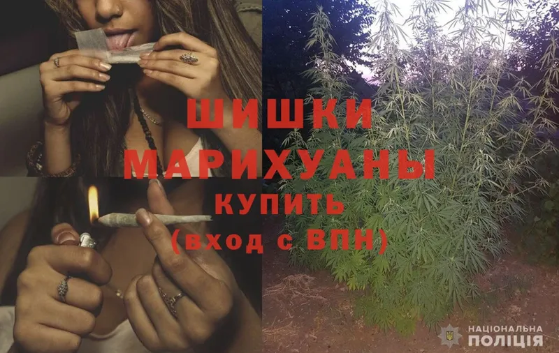 дарнет шоп  Ишим  Шишки марихуана White Widow 